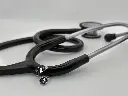 Pin Esteto Preto vet.webp